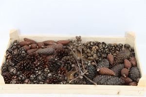 Natural Wax Pinecone Decoration