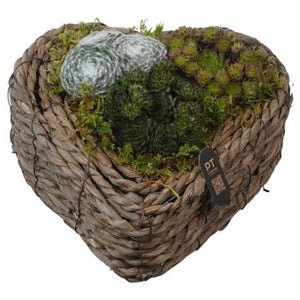 Heart-Shaped Wicker Plant Arrangement – 26cm