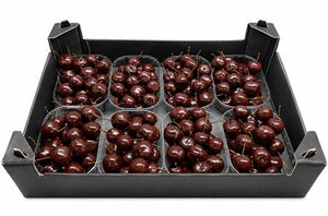 Chocolate Wax Apple Branches – Decorative Stems