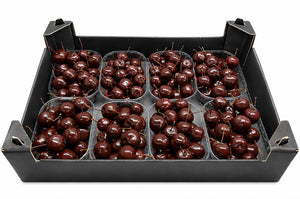 Chocolate Waxflower Decorative Stems