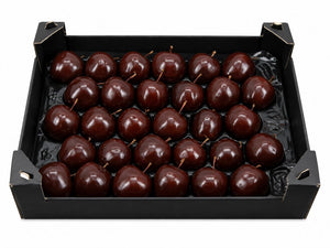 Chocolate Wax Apple Decorative Plant