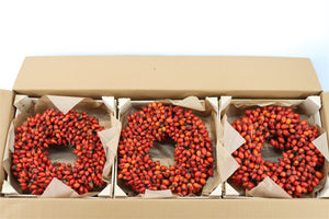 Orange Rosehip Wreath – 30cm