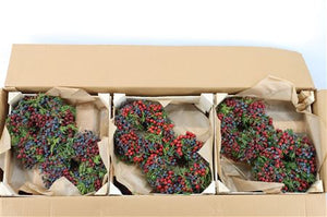 Mixed Colour Cornus Berry Wreath – 20cm