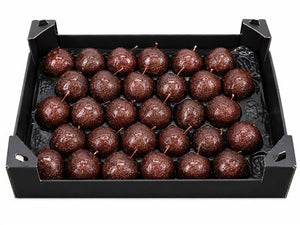 Chocolate Wax Apple Decorative Plant