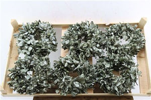 Antique Green Wax Oak Wreath – 20cm