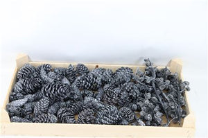 Blue-Grey Wax Pinecone Decoration – 10cm