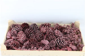 Blue-Grey Wax Pinecone Decoration – 10cm