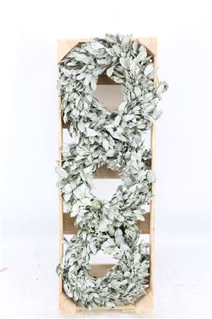 Antique Green Wax Oak Wreath – 20cm