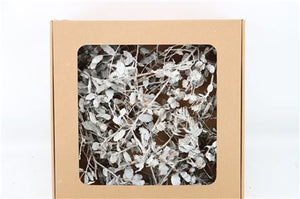 Caramel Dried Oak Leaves – Decorative Display