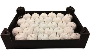 White Wax Apple Decorative Stems