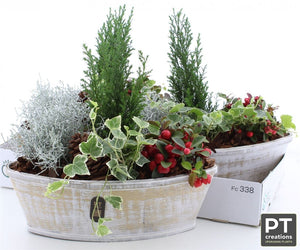 Decorative Plant Arrangement – 36cm Bamboo Pot