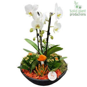 Autumn Orange Deluxe Arrangement – 32cm Terracotta Pot (Approx. 55cm)