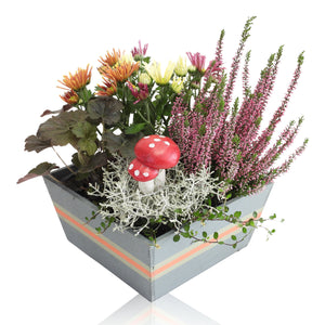 Wooden Pot Plant Arrangement – 21cm