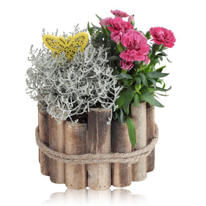 Wooden Potted Green Plant Arrangement – 17cm Pot
