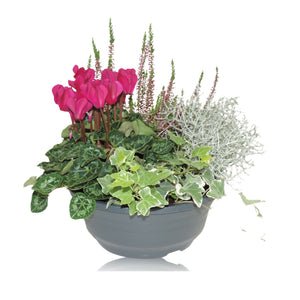 Green Plant Arrangement in Plastic Patio Pot – 23cm