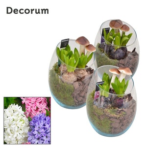 Oblique Glass Plant Arrangement – 15cm Vase