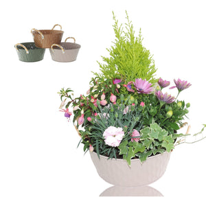 Oval Zinc Plant Arrangement – 25cm