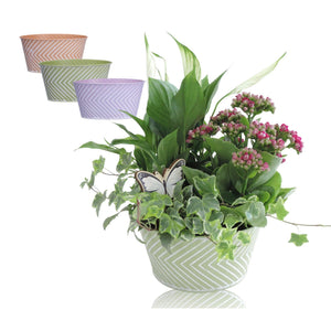 Zinc Round Plant Arrangement – 18cm Pot