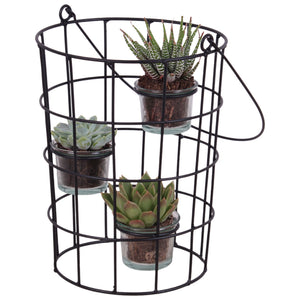 Succulent Arrangement in Metal Wire Basket with Glass – 18cm