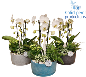 Izabella Navy Cascade Arrangement – 22cm Ceramic Pot