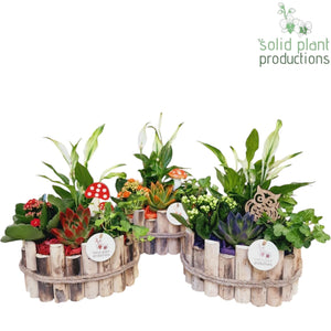 Small Autumn Arrangement in Oval Wooden Pot – 23cm