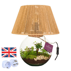 Moonlight LED Glass Terrarium – 36cm