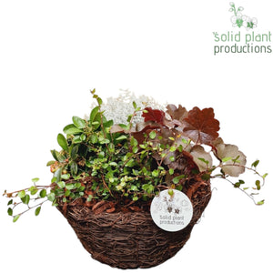 Salim Decorative Plant Arrangement – 26cm Pot