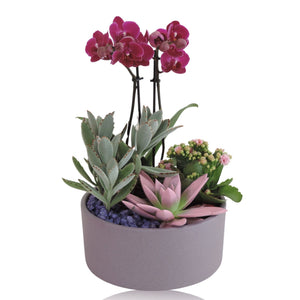 Black Stone Ceramic Plant Arrangement – 22cm Pot