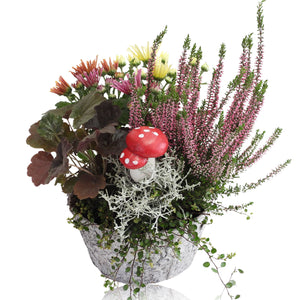 Birch Arrangement in Ornamental Pot – 20cm