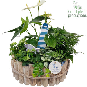 Large Maritiem Wooden Plant Arrangement – 30cm Pot