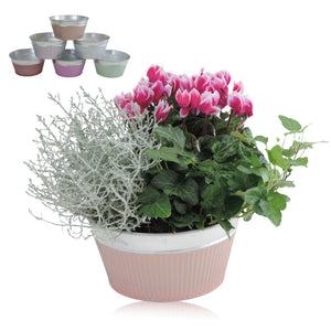 Zinc Ornamental Plant Arrangement – 18cm Pot