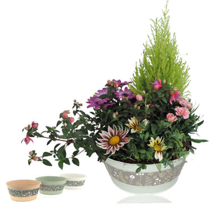 Oval Zinc Plant Arrangement – 25cm