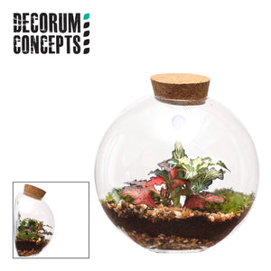 Juno Mixed-Colour Glass Terrarium – 12.5cm