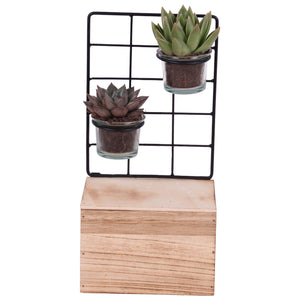 Succulent Arrangement with Glass Bowl and Wooden Stand – 15cm