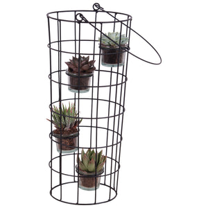 Succulent Arrangement in Metal Wire Basket with Glass – 18cm