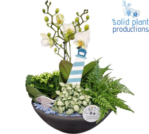 Blue Maritime Ceramic Plant Arrangement – 27cm Pot