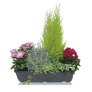 Autumn Balcony Arrangement – 40cm Ornamental Pot