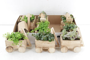 Mixed Arrangement in Wooden Cart – 15cm Pot
