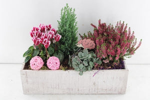 Outdoor Plant Arrangement in Whitewashed Wooden Box – 39cm