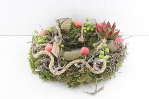 Red Decorative Plant Arrangement – 10cm Pot