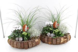 Outdoor Arrangement in Oval Wooden Planter – 37cm