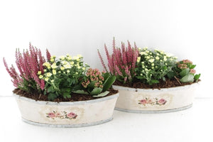 Outdoor Plant Arrangement in Wooden Pot – 35cm