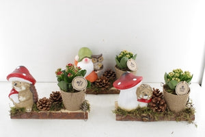 Autumn Character Plant Arrangement – 27cm Pot
