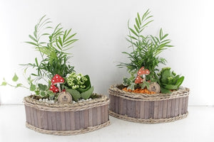 Mixed Plant Arrangement in Wooden Canoe – 30cm