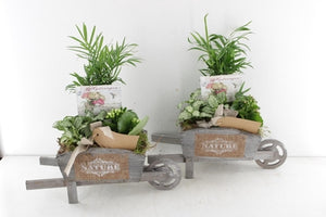 Mixed Plant Arrangement in Wooden Wheelbarrow – 35cm