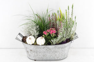 Outdoor Plant Arrangement in Grey Oval Planter – 28cm