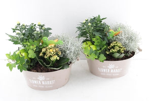 Outdoor Flower Arrangement in Taupe Zinc Pot – 26cm