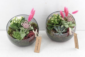 Pink and White Flower Arrangement – 18cm Glass Pot