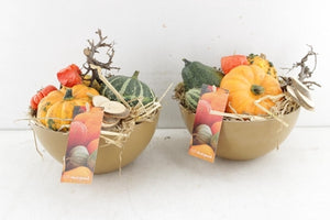 Goldie Decorative Arrangement – 20cm Bowl