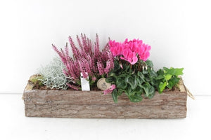 XL Outdoor Bark Arrangement – 52cm Wooden Pot
